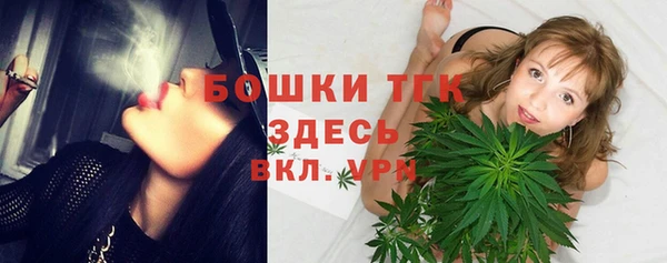 PSILOCYBIN Абаза
