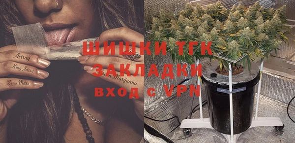 сатива Абинск