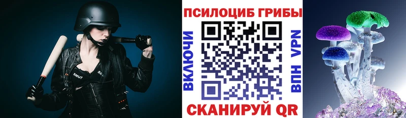 Галлюциногенные грибы мицелий  Чегем 